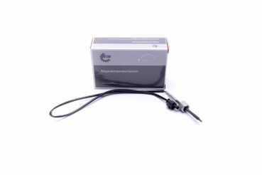 30SKV386 ESEN SKV Sensor, Abgastemperatur