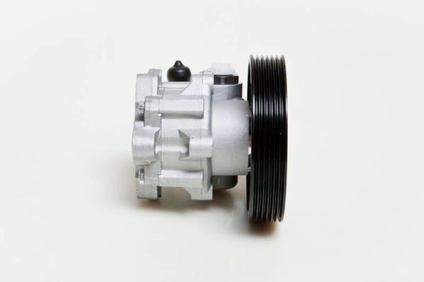 10SKV009 ESEN SKV Hydraulikpumpe, Lenkung